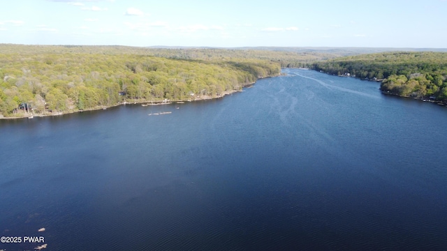bird's eye view of a forest and a large body of water