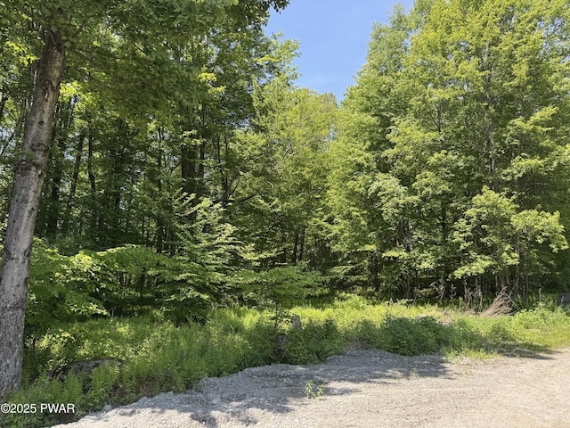 3205 Creamton Dr, Lake Como, PA 18437 - view of tree filled area