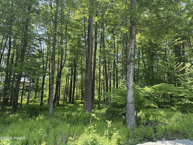 3205 Creamton Dr, Lake Como, PA 18437 - view of woods