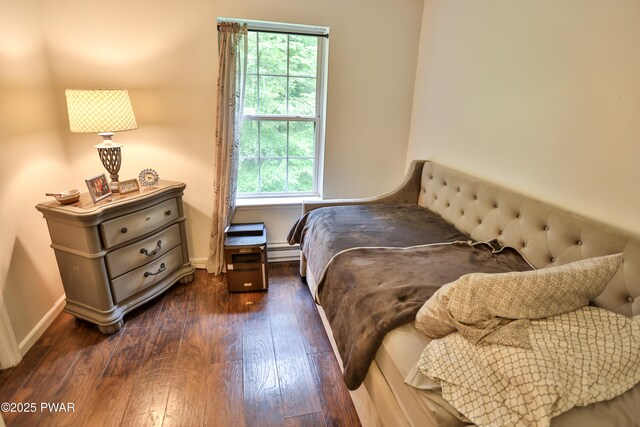174 Laverne Dr, Dingmans Ferry, PA 18328 - bedroom featuring dark wood-style floors, multiple windows, and a baseboard radiator
