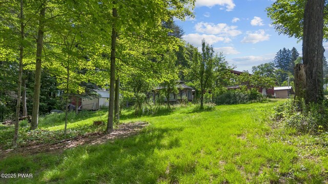 4275 Little League Rd, Madison Township, PA 18444 - photo 49