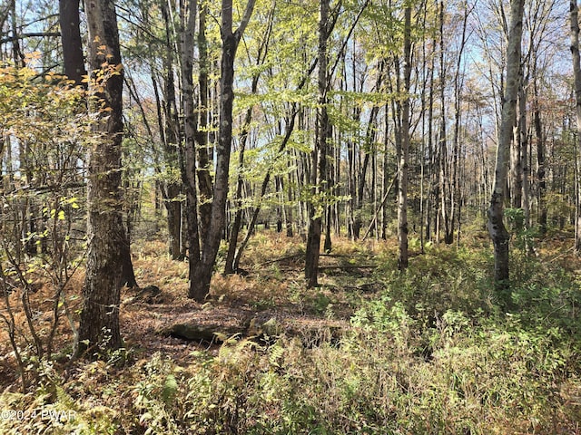 Listing photo 3 for LOT12 Lakeview Dr, Damascus PA 18415