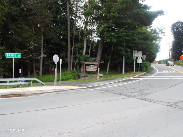 Steep Hill Rd, Beach Lake, PA 18405 - photo 5