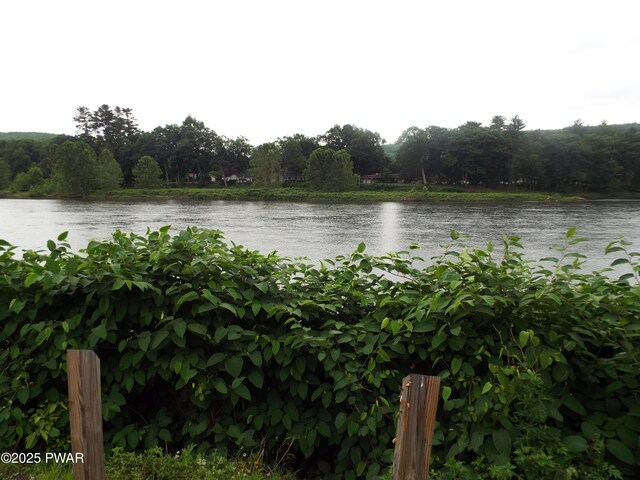 Steep Hill Rd, Beach Lake, PA 18405 - photo 4