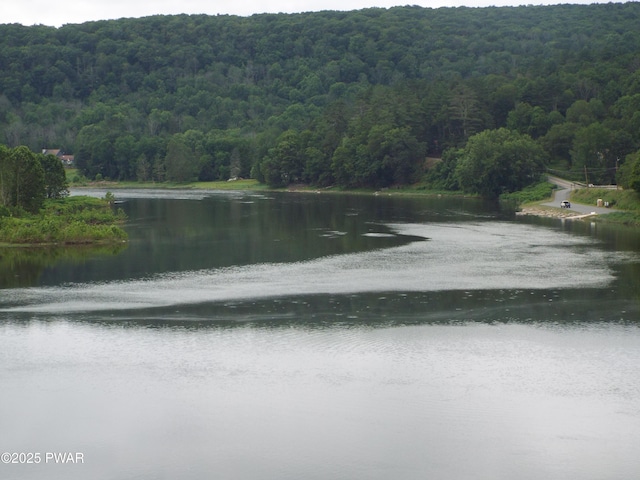 Steep Hill Rd, Beach Lake, PA 18405 - photo 7