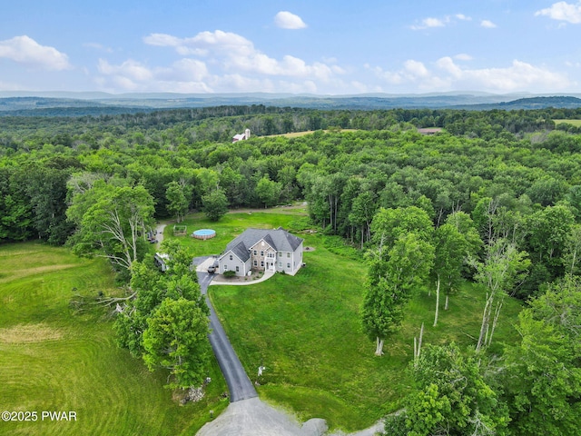 25 Leaf Dr, Honesdale, PA 18431 - photo 6