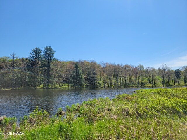298 Maple Grove Rd, Starrucca, PA 18462 - water view with a heavily wooded area