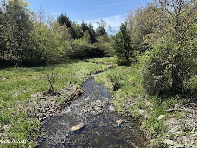 298 Maple Grove Rd, Starrucca, PA 18462 - view of street