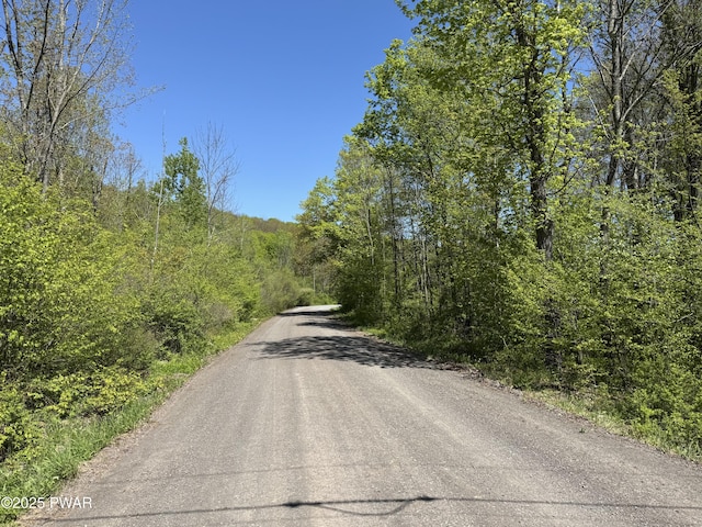 298 Maple Grove Rd, Starrucca, PA 18462 - view of asphalt road with a wooded view