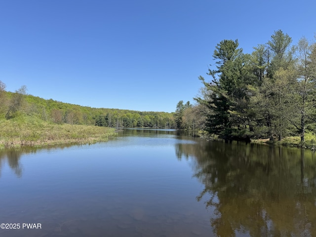 298 Maple Grove Rd, Starrucca, PA 18462 - water view with a forest
