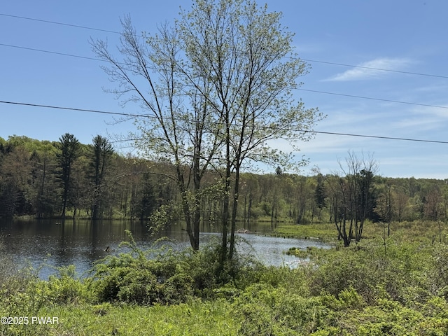 298 Maple Grove Rd, Starrucca, PA 18462 - water view with a heavily wooded area