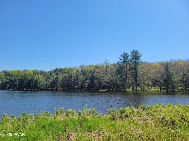 298 Maple Grove Rd, Starrucca, PA 18462 - water view featuring a heavily wooded area