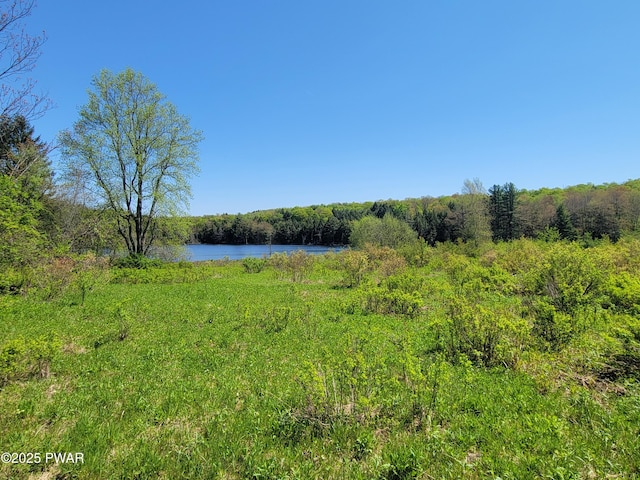 298 Maple Grove Rd, Starrucca, PA 18462 - water view
