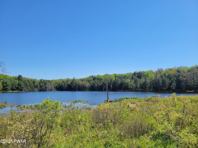 298 Maple Grove Rd, Starrucca, PA 18462 - water view featuring a heavily wooded area