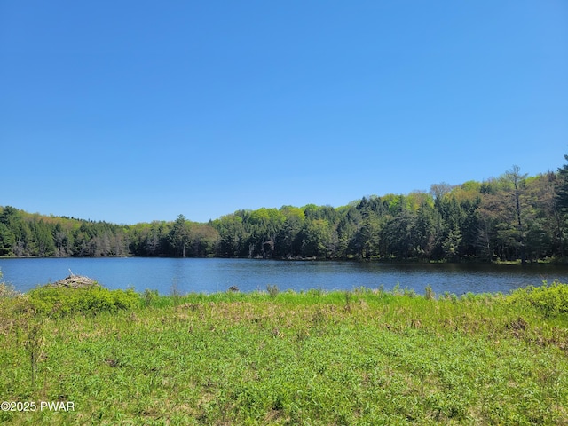 298 Maple Grove Rd, Starrucca, PA 18462 - water view with a forest