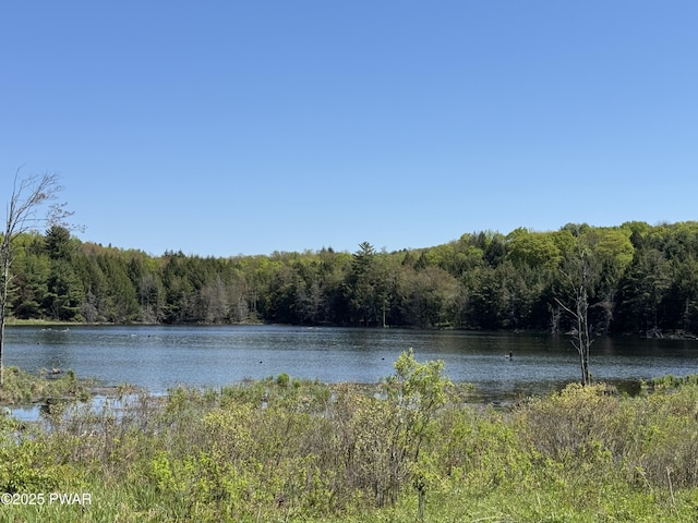 298 Maple Grove Rd, Starrucca, PA 18462 - water view featuring a forest