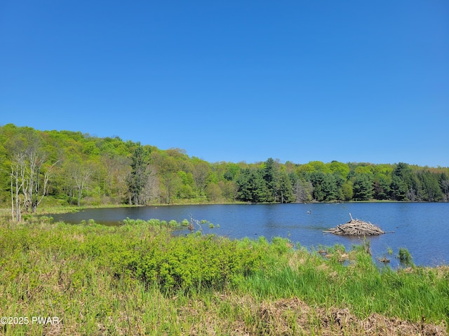 298 Maple Grove Rd, Starrucca, PA 18462 - water view with a forest