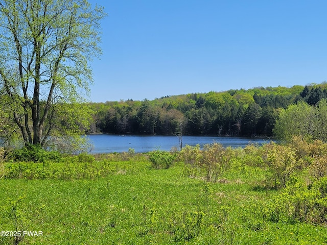 298 Maple Grove Rd, Starrucca, PA 18462 - water view featuring a heavily wooded area