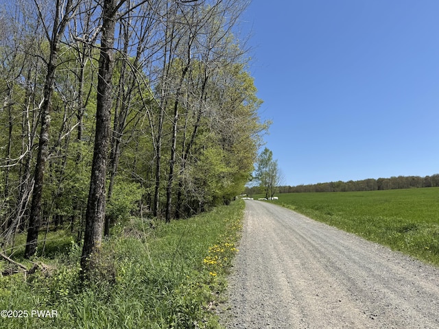 298 Maple Grove Rd, Starrucca, PA 18462 - view of dirt / gravel road featuring a view of countryside