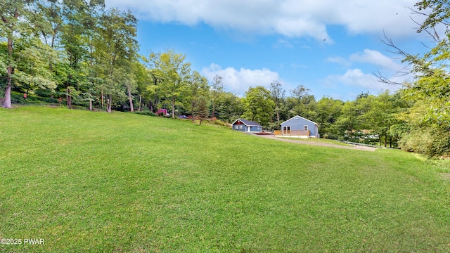 136 Heaters Hill Rd, Matamoras, PA 18336 - view of green lawn