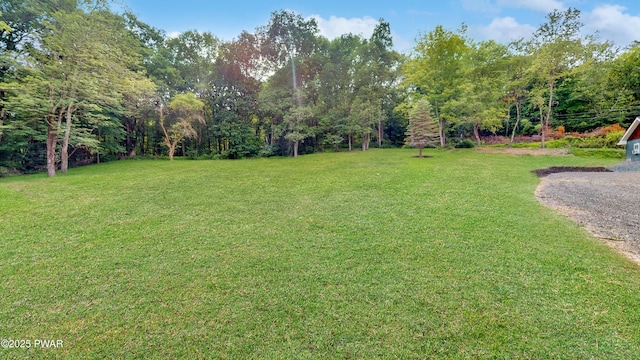 136 Heaters Hill Rd, Matamoras, PA 18336 - view of green lawn
