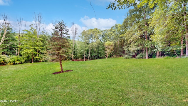 136 Heaters Hill Rd, Matamoras, PA 18336 - view of green lawn