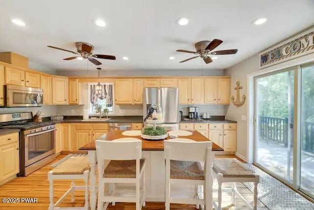 kitchen with a sink, ceiling fan, light brown cabinets, and stainless steel appliances