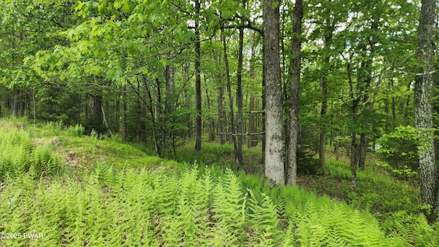 LOT9 Lynric Ct, Shohola, PA 18458