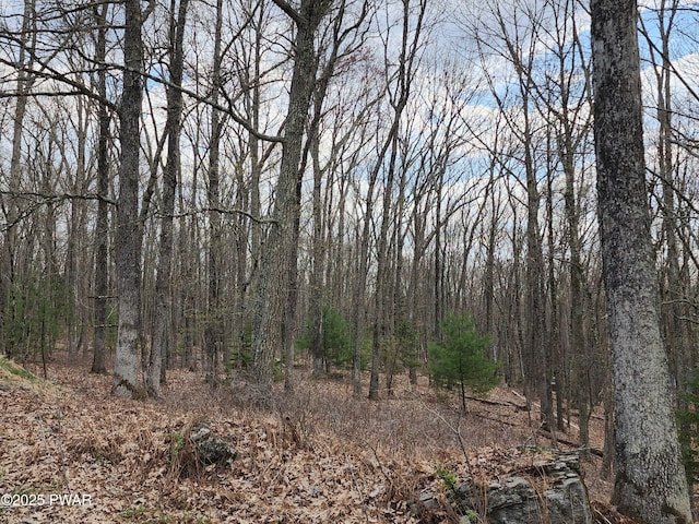 LOT9 Lynric Ct, Shohola, PA 18458