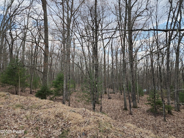 LOT9 Lynric Ct, Shohola, PA 18458