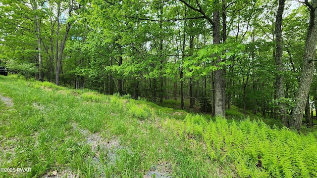 LOT9 Lynric Ct, Shohola, PA 18458