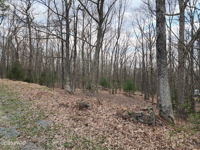 LOT9 Lynric Ct, Shohola, PA 18458