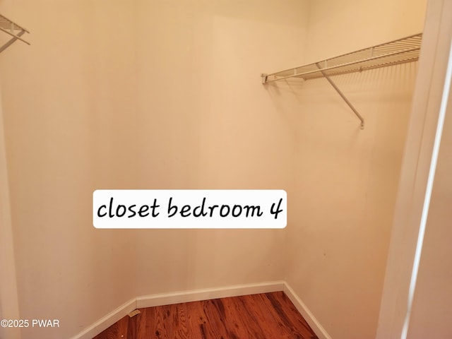 walk in closet with wood-type flooring