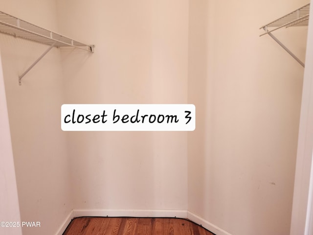 spacious closet featuring hardwood / wood-style flooring