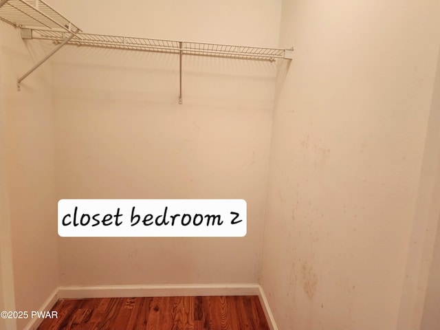 spacious closet featuring hardwood / wood-style flooring