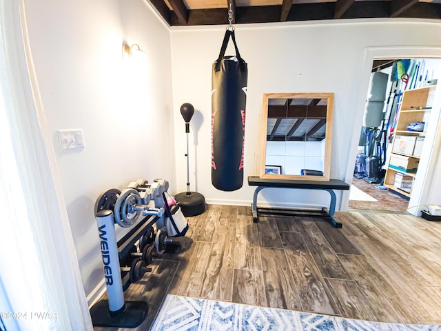 workout area featuring wood-type flooring