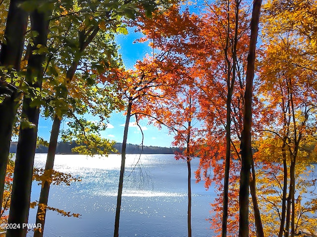 view of water feature