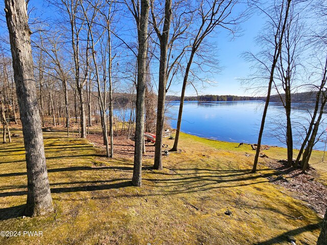 176 Fawn Lake Dr, Hawley, PA 18428 - water view