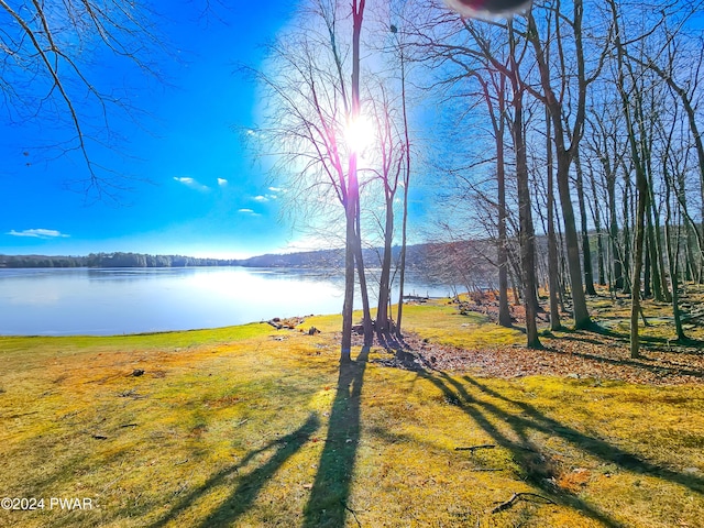 176 Fawn Lake Dr, Hawley, PA 18428 - water view