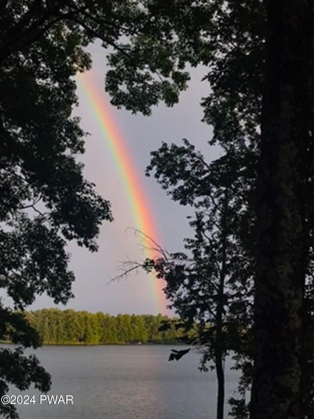 176 Fawn Lake Dr, Hawley, PA 18428 - water view featuring a heavily wooded area
