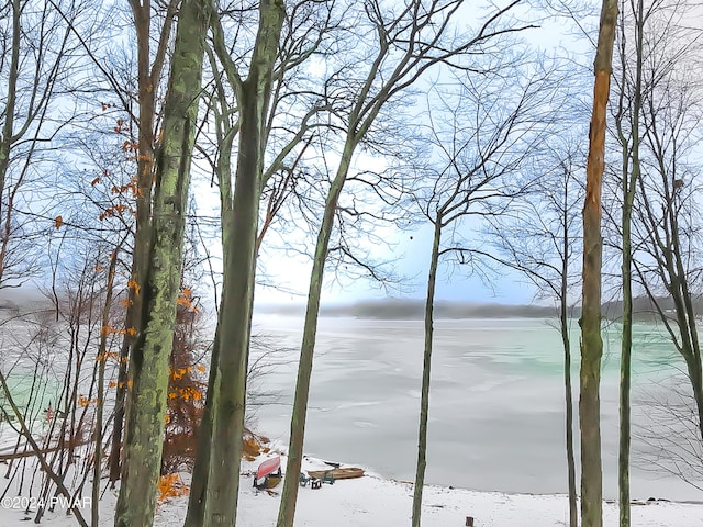 176 Fawn Lake Dr, Hawley, PA 18428 - water view
