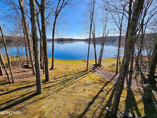 176 Fawn Lake Dr, Hawley, PA 18428 - photo 77