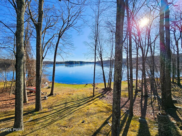 176 Fawn Lake Dr, Hawley, PA 18428 - water view