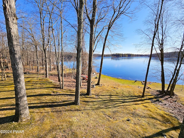 view of water feature