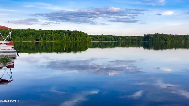176 Fawn Lake Dr, Hawley, PA 18428 - water view with a heavily wooded area