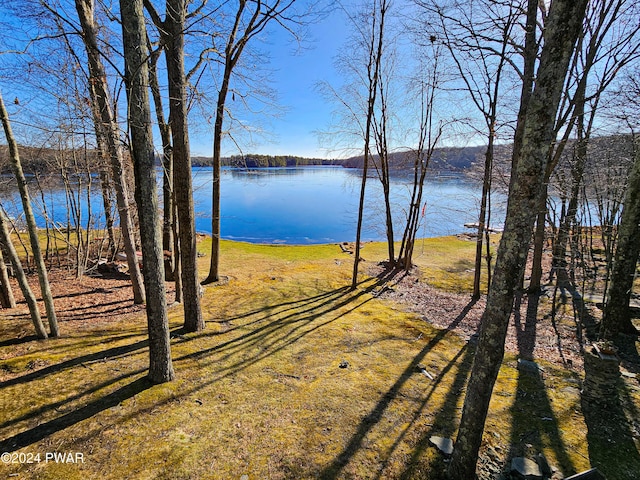 property view of water