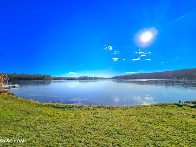 176 Fawn Lake Dr, Hawley, PA 18428 - photo 74