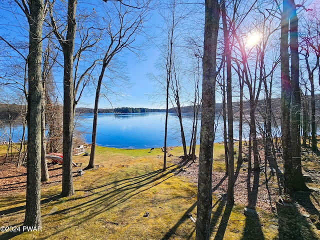 176 Fawn Lake Dr, Hawley, PA 18428 - water view