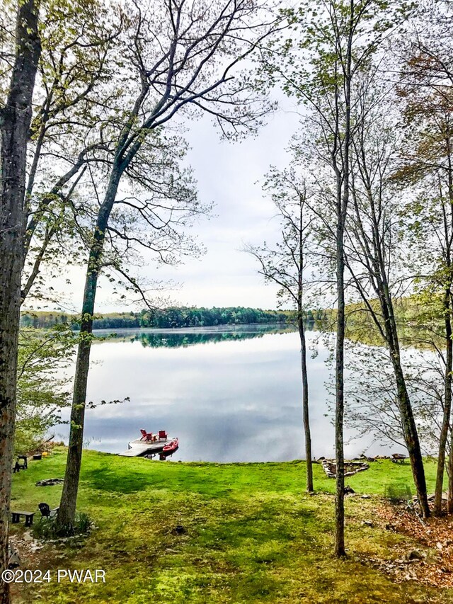 176 Fawn Lake Dr, Hawley, PA 18428 - water view
