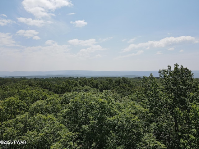 373 S Hummingbird Trl, Bushkill, PA 18324 - photo 6